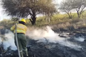 Incendios forestales en Catamarca: se registraron 22 focos activos en una semana