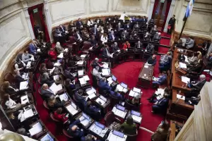 Sesiona el Senado: la LLA llega sin estrategia para defender la pol�mica por el pliego de Michelli