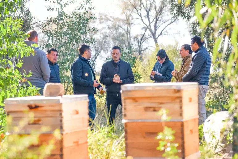 producci�n regional