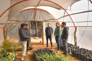 Tinogasta y Bel�n, en la agenda productiva para potenciar las econom�as regionales