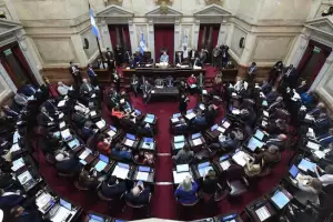 Senado: la oposici�n logr� incluir el pliego de Michelli y se votar� esta tarde en el recinto