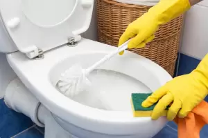 Los cinco trucos caseros para limpiar el inodoro y quitar todas las bacterias