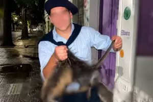 Denuncian penalmente a dos j�venes por matar a un coipo y difundir el video en redes sociales