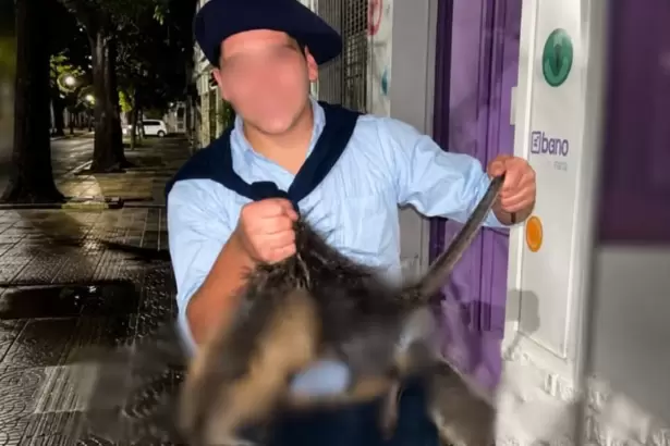 Denuncian penalmente a dos j�venes por matar a un coipo y difundir el video en redes sociales