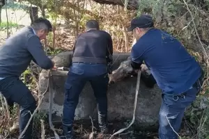 Rescate en Catamarca: un caballo cay� en una cisterna y fue salvado por la polic�a