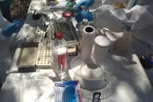 CONICET y Salud impulsan una investigaci�n clave sobre Hantavirus en Catamarca