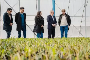 Empresa agroindustrial inaugur�en F.M.E un vivero con tecnolog�a de avanzada