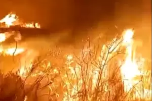 VIDEO: Incendio de gran magnitud en el interior provincial