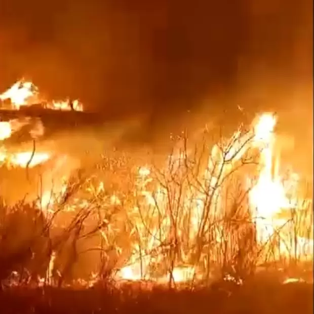 VIDEO: Incendio de gran magnitud en el interior provincial