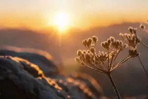 Solsticio de invierno: a qu� hora empezar� oficialmente la temporada m�s fr�a