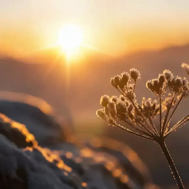 Solsticio de invierno: a qu� hora empezar� oficialmente la temporada m�s fr�a