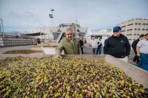 Jalil visit� a las empresas que impulsan el crecimiento oliv�cola en Catamarca