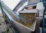 Catamarca super� los 320 millones de d�lares en exportaciones y es r�cord