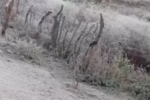 Catamarca y otras 15 provincias seguir�n bajo alerta por fr�o extremo y heladas