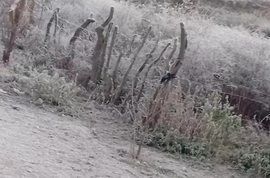 Heladas en Aconquija esta semana