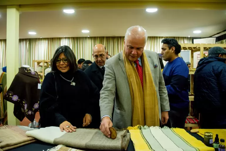 diplomatura en tejido