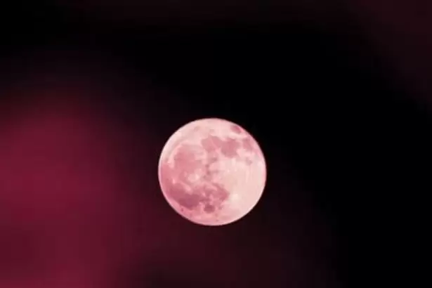 La Luna de Fresa iluminar� el cielo este lunes: �se ver� en Catamarca?