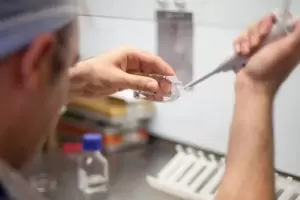 In�dito: autorizan a una viuda a seguir un tratamiento de fertilizaci�n