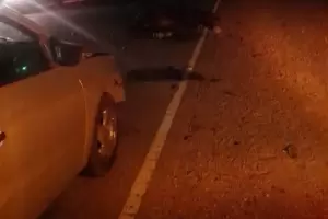 Catamarca: un caballo suelto provoc� otro siniestro vial en el interior provincial