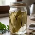 Mezclar vinagre con hojas de laurel: por qu� recomiendan hacerlo y para qu� sirve