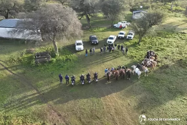 Golpe al abigeato en Catamarca: secuestraron 70 animales y aprehendieron a cinco personas