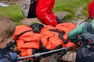Un grupo de rescatistas debi� evacuar a una perra de una monta�a por haber ingerido marihuana
