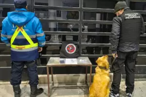Controles en Capay�n y Valle Viejo: secuestran marihuana, coca�na y celulares