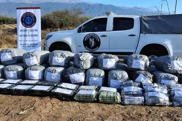 Catamarca concret� la primera destrucci�n de casi 800 kilos de hojas de coca incautadas
