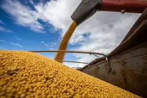 Con menor superficie sembrada, la soja aportar� m�s de US$ 28.700 millones