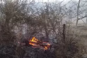 Catamarca: controlaron un incendio forestal en San Jos� que afect� dos fincas