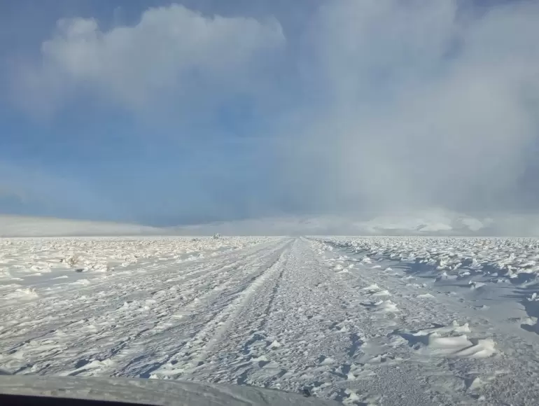 antofagasta de la sierra ruta 43