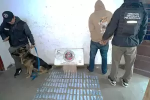 Operativo antidrogas: secuestraron 1.500 comprimidos de ansiol�ticos