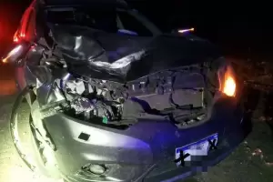 Catamarca: turistas resultaron heridos tras chocar contra un animal suelto en la Ruta Nacional 40