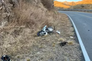 Motociclista result� herido tras impactar contra un equino en la Ruta 4