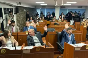 Diputados: media sanci�n para la protecci�n de la infancia y el patrimonio cultural