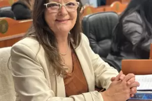 Media sanci�n al programa para proteger las esculturas p�blicas de Catamarca