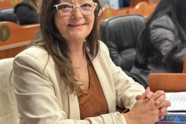Media sanci�n al programa para proteger las esculturas p�blicas de Catamarca