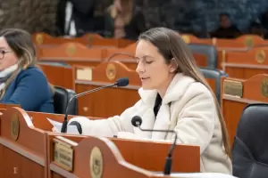 El Senado declar� su respaldo al proyecto del "Interconectado Oeste de Catamarca"