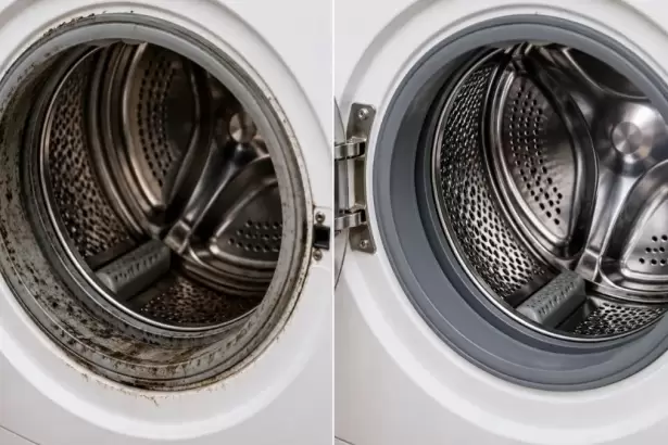 El truco casero para limpiar el lavarropas y dejarlo como nuevo