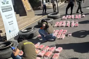 Droga en Catamarca: secuestran casi 80 kilos ocultos en las ruedas de un cami�n