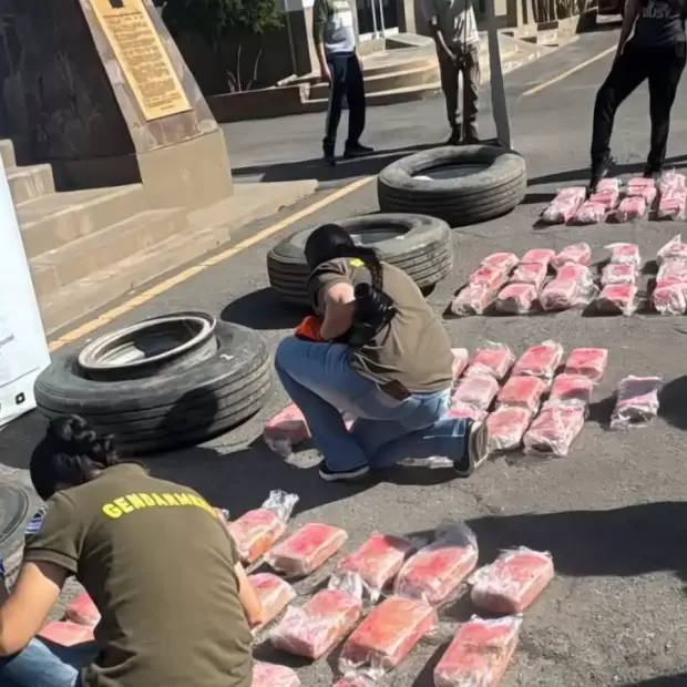Droga en Catamarca: secuestran casi 80 kilos ocultos en las ruedas de un cami�n