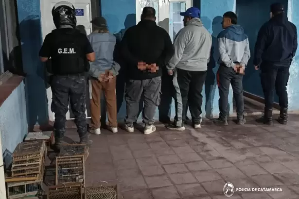 Catamarca: secuestran aves canoras y aprehenden a cuatro personas