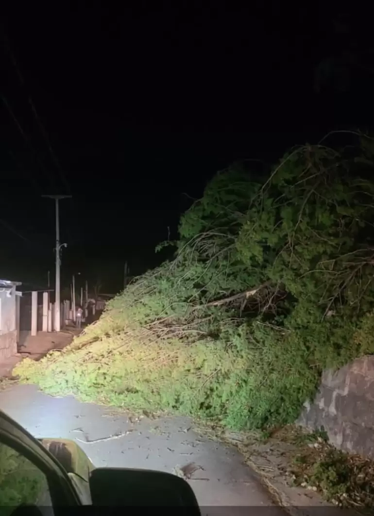 temporal ambato