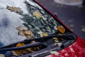 El truco con vinagre para mantener el parabrisas del auto siempre limpio