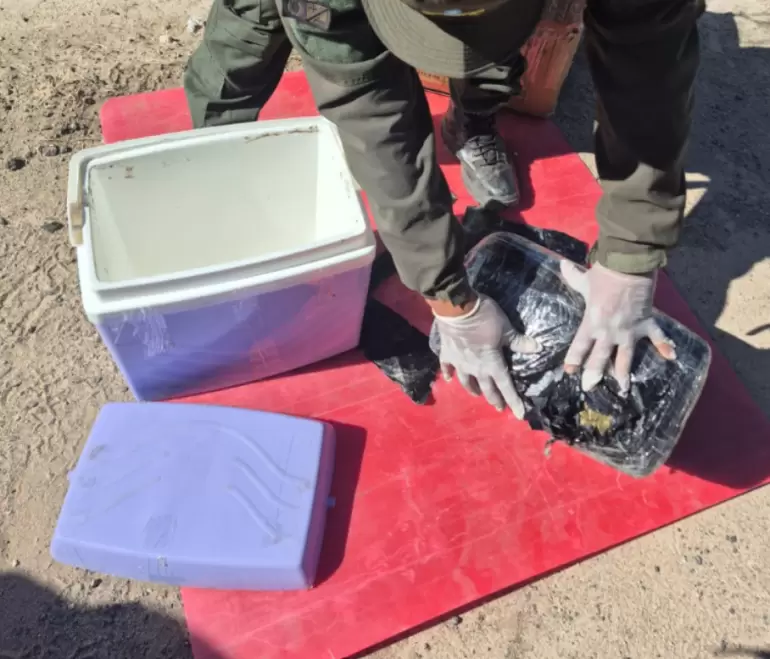 gendarmeria marihuana colectivos