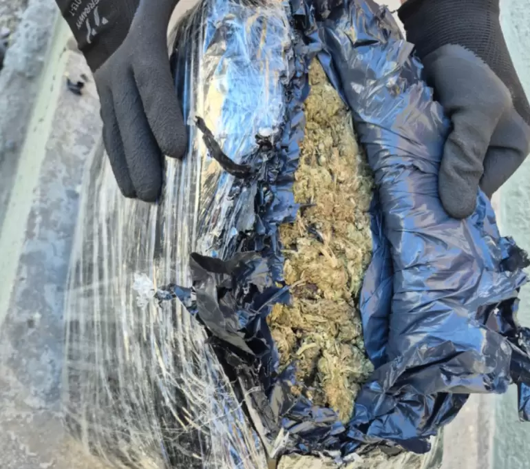 gendarmeria marihuana colectivos