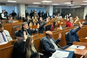 Con votos de LLA sellaron la media sanci�n para transformar CAMYEN en una SAU