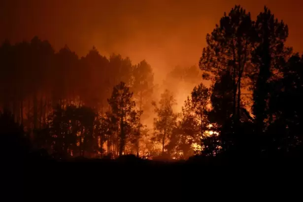 Europa bajo una ola de calor extrema: incendios, evacuaciones y una dura sequ�a