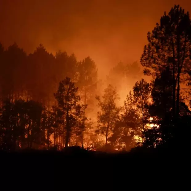 Europa bajo una ola de calor extrema: incendios, evacuaciones y una dura sequ�a