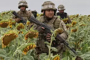 El girasol supera los US$500 y recupera valores previos a la guerra entre Rusia y Ucrania